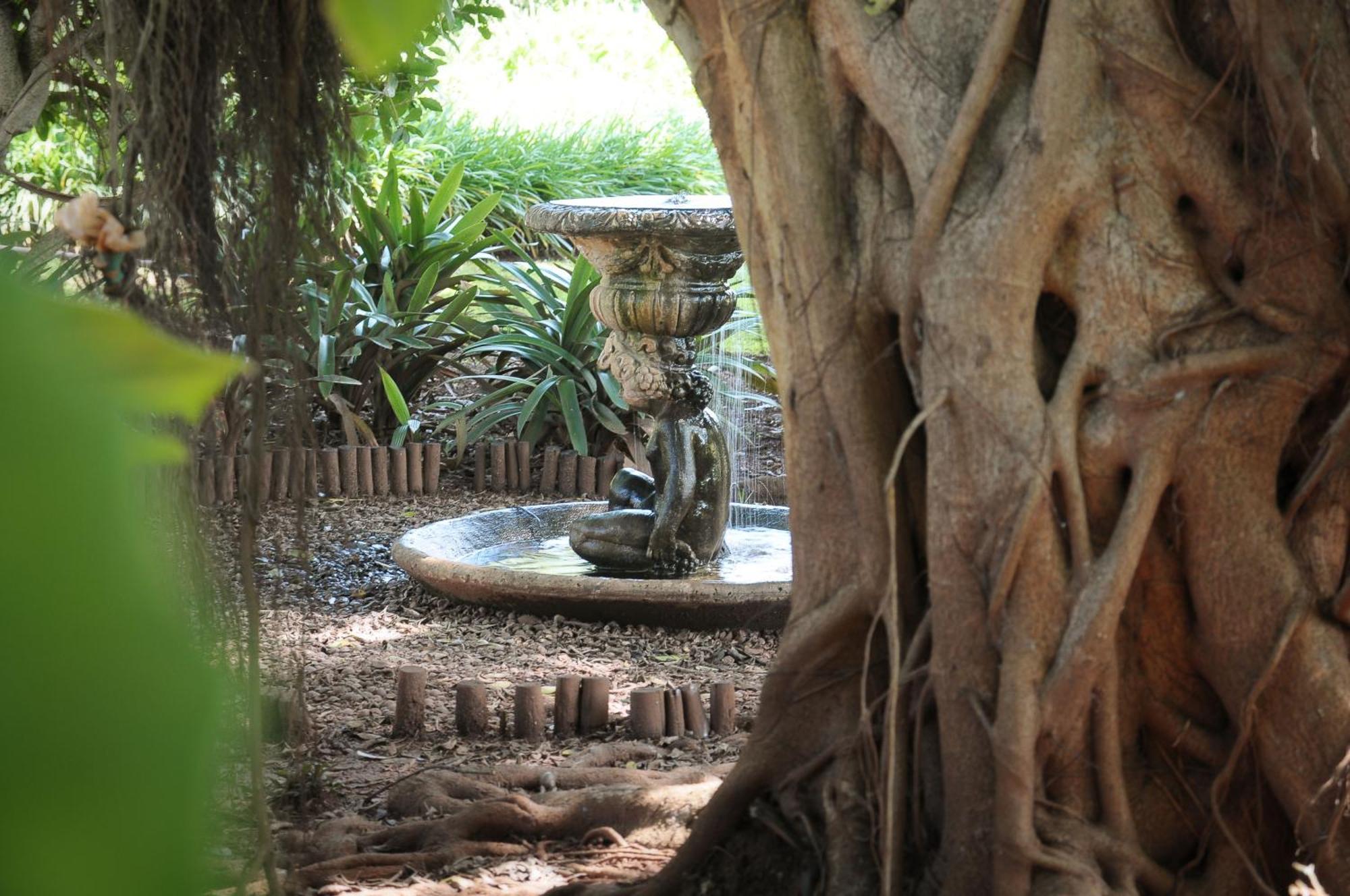 Mount Azimbo Lodge Louis Trichardt Eksteriør billede